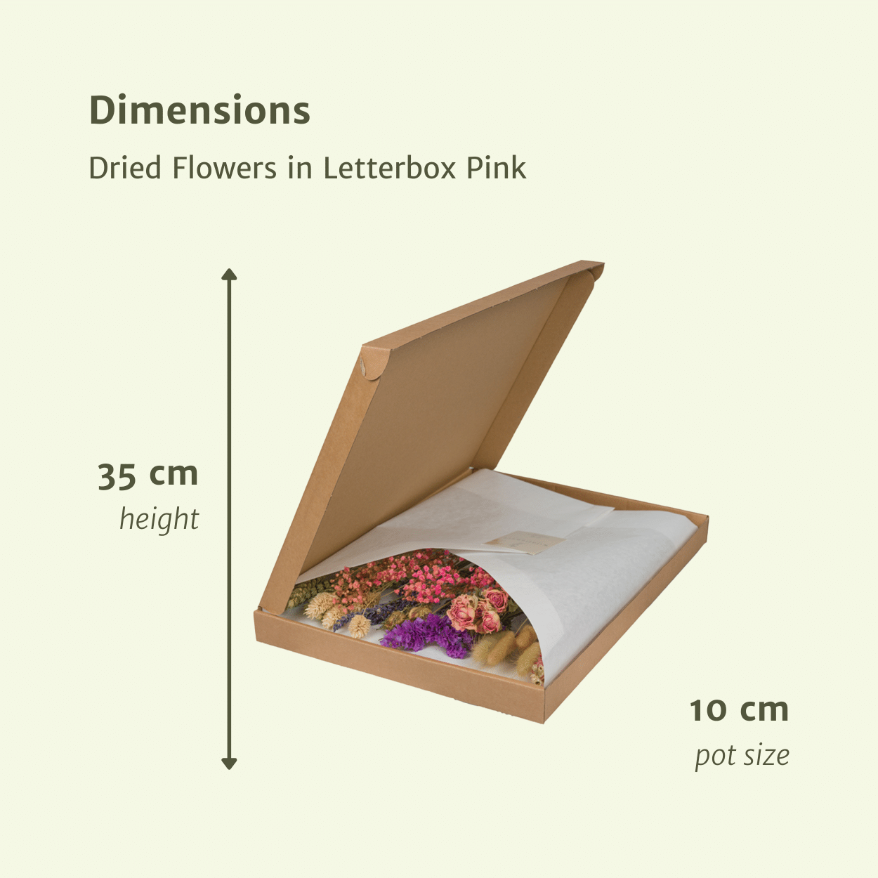 Elegante Trockenblumen im Briefkasten - Pink