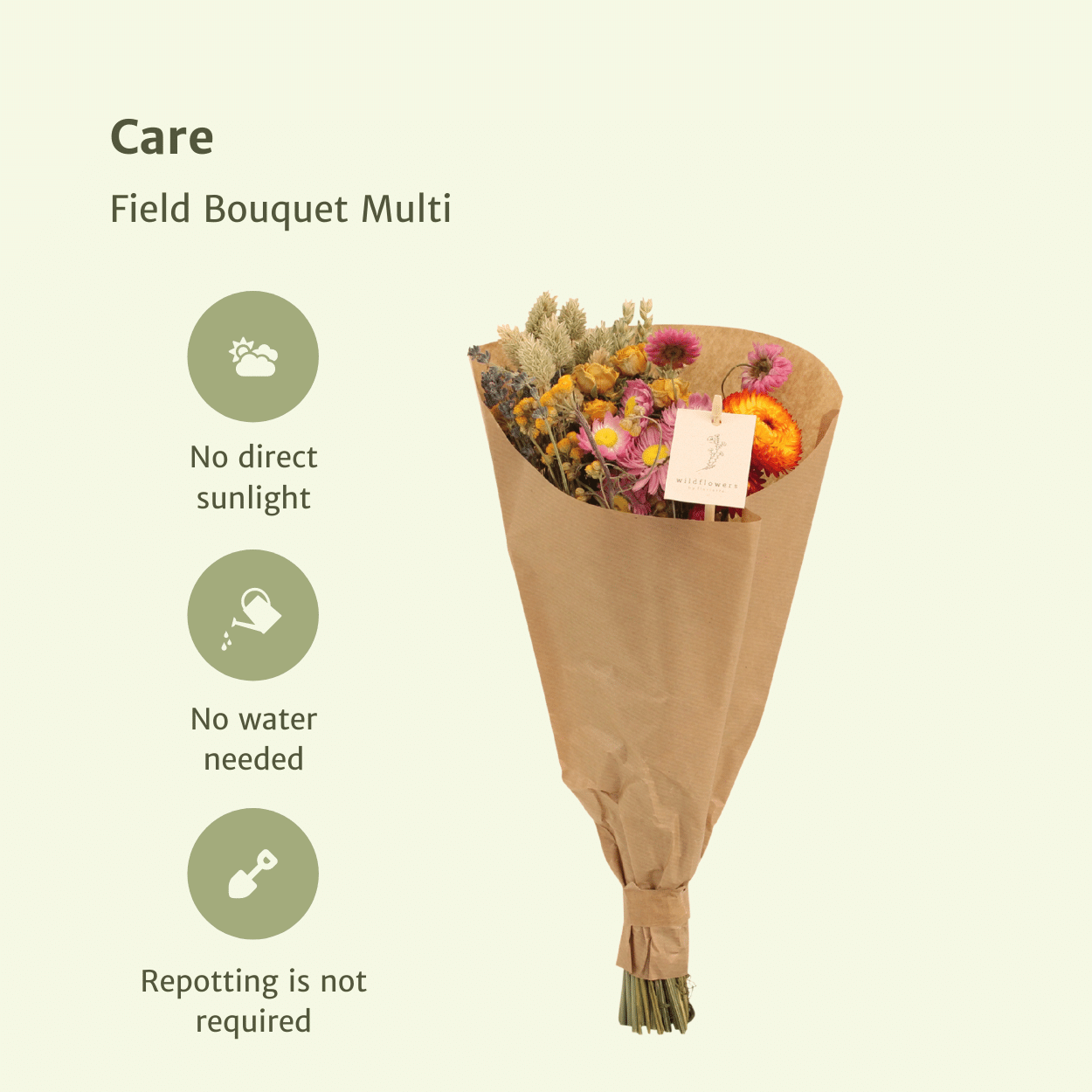 Trockenblumen Feldblumenstrauß Multi – bunt & pflegeleicht