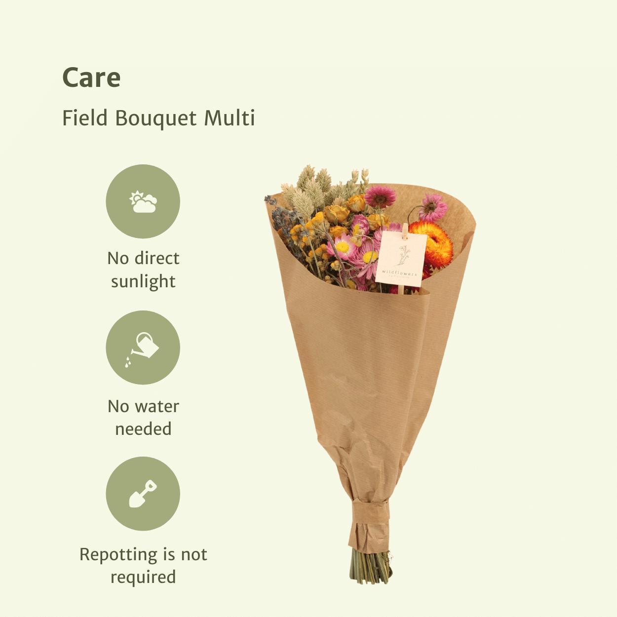 12x Field Bouquet Multi – Bunter Trockenstrauß 35cm