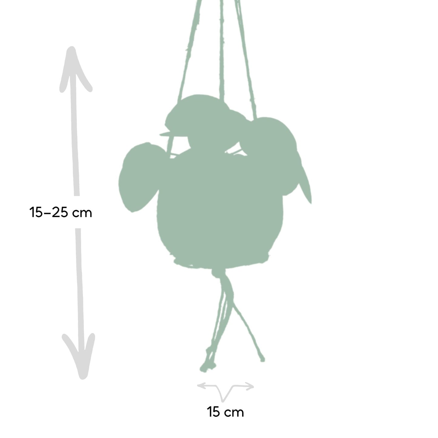 Kokedama Pilea Peperomioides Ø15cm – pflegeleicht & stylisch