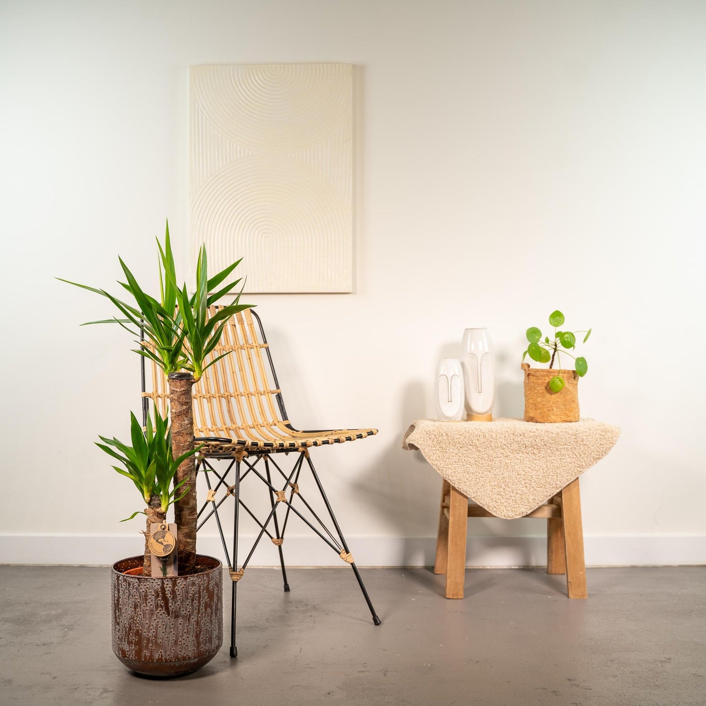 Yucca Palmlilie mit Topf – 100 cm – Ø 21 cm