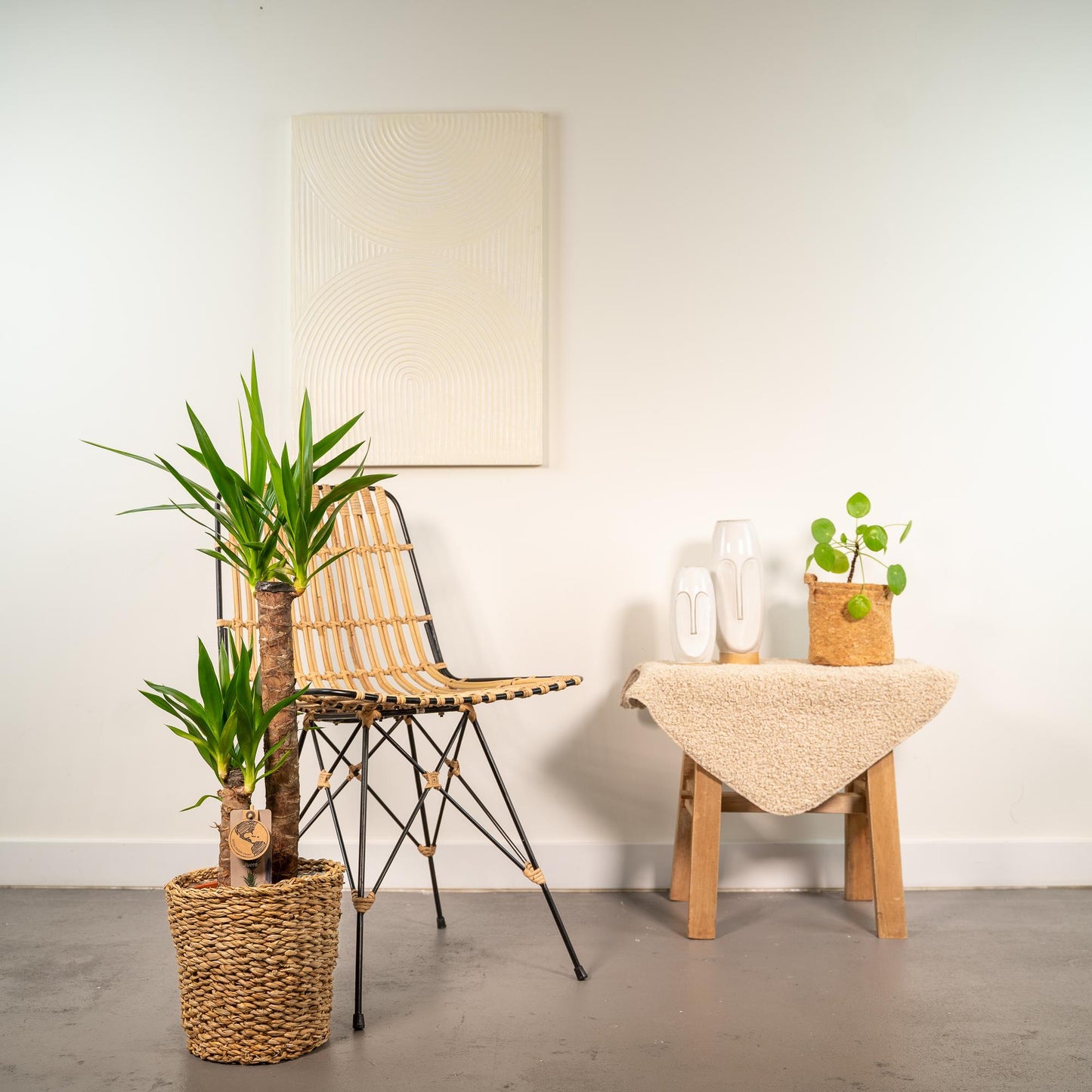 Yucca Palmlilie mit Korb – 100 cm – Ø21 cm
