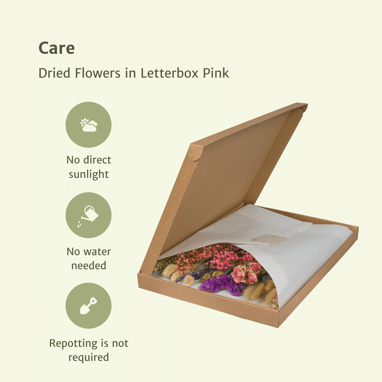 Elegante Trockenblumen im Briefkasten - Pink