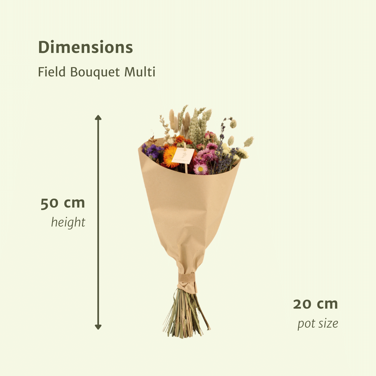 Trockenblumen Feldblumenstrauß Multi – Ø 20 cm, ca. 50 cm hoch
