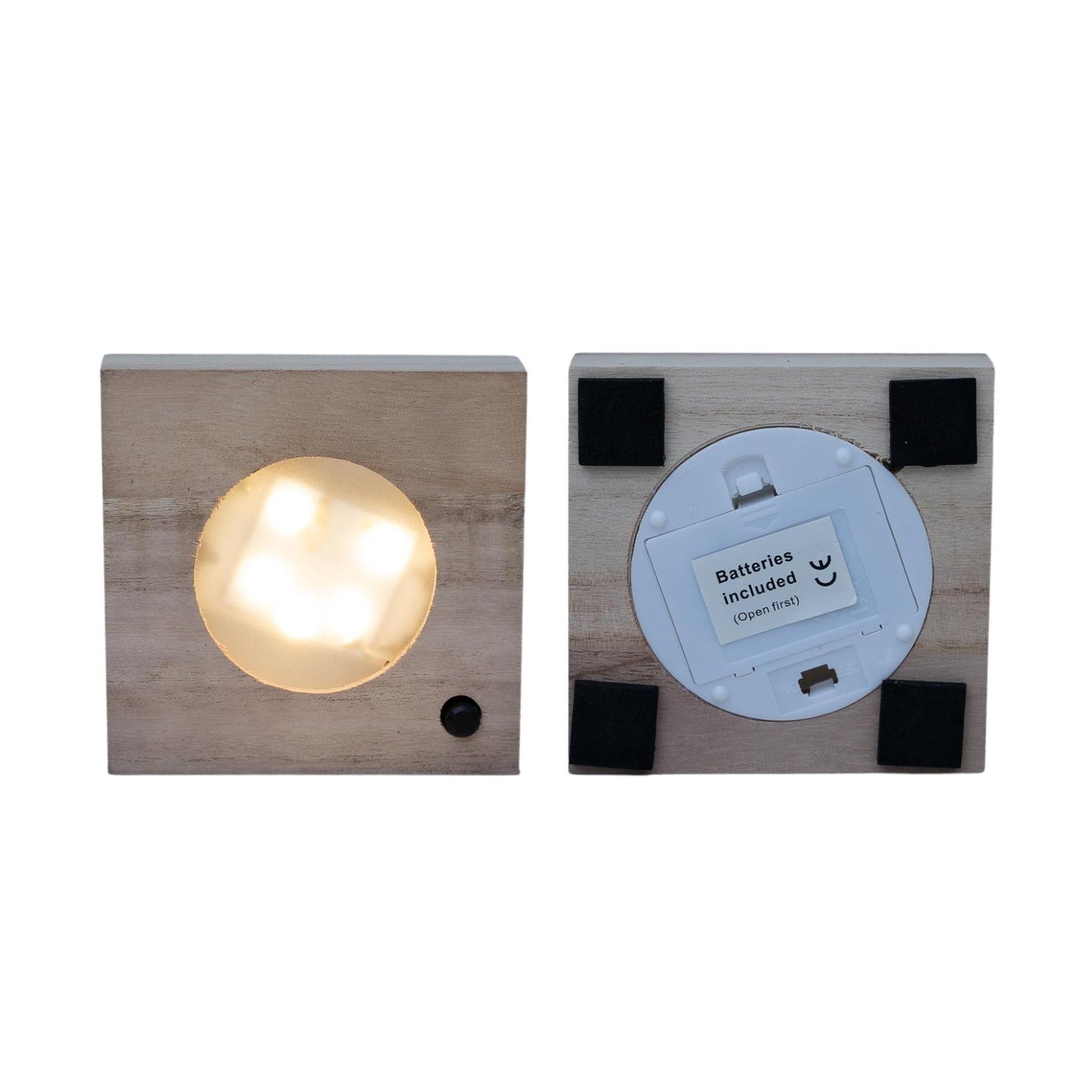 Clusia Hydroponie-Pflanzenmix mit LED-Beleuchtung Ø10cm