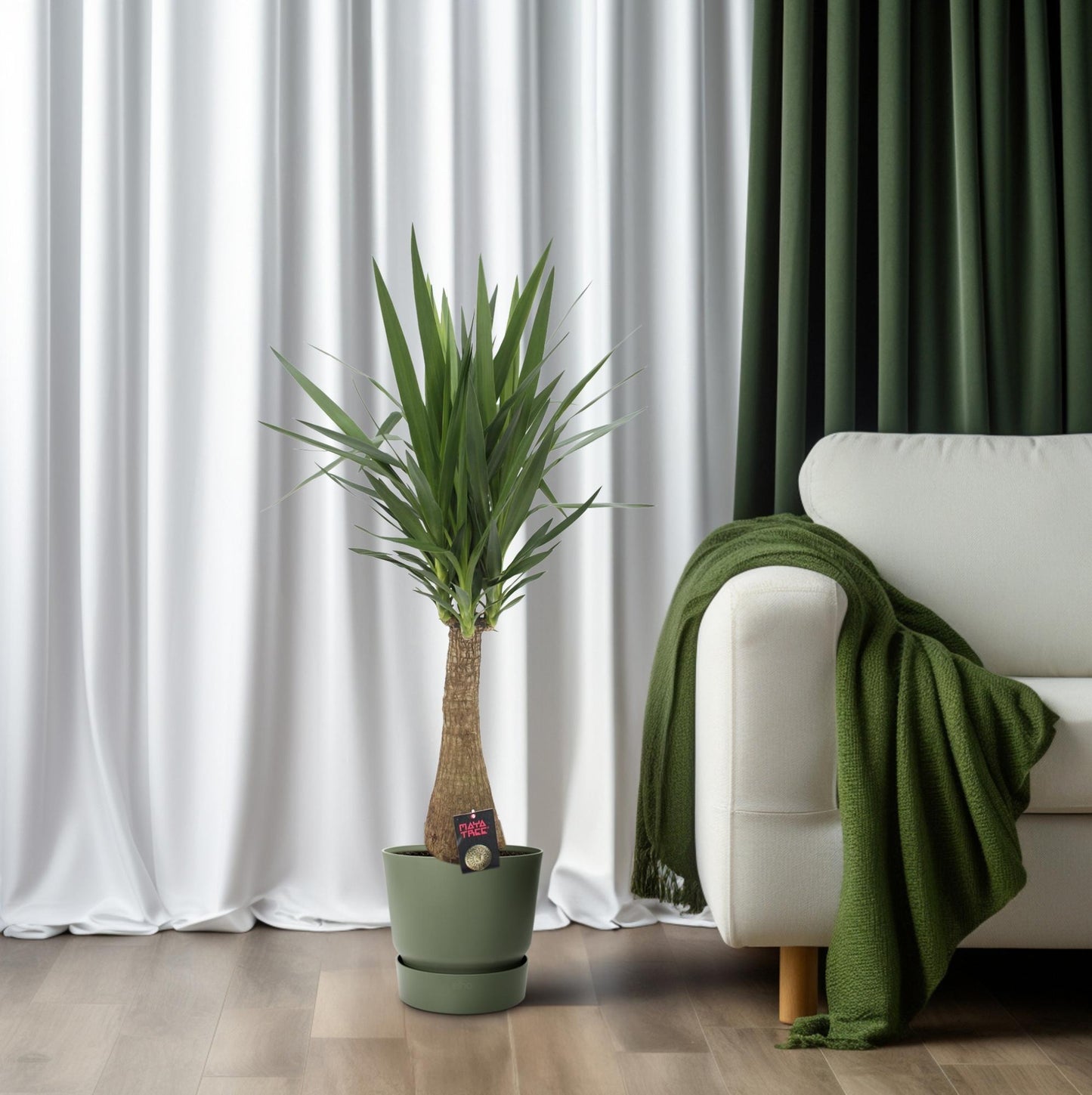 Yucca „Maya Tree“ – Pflegeleichte XXL-Zimmerpflanze Ø27cm, 110cm hoch