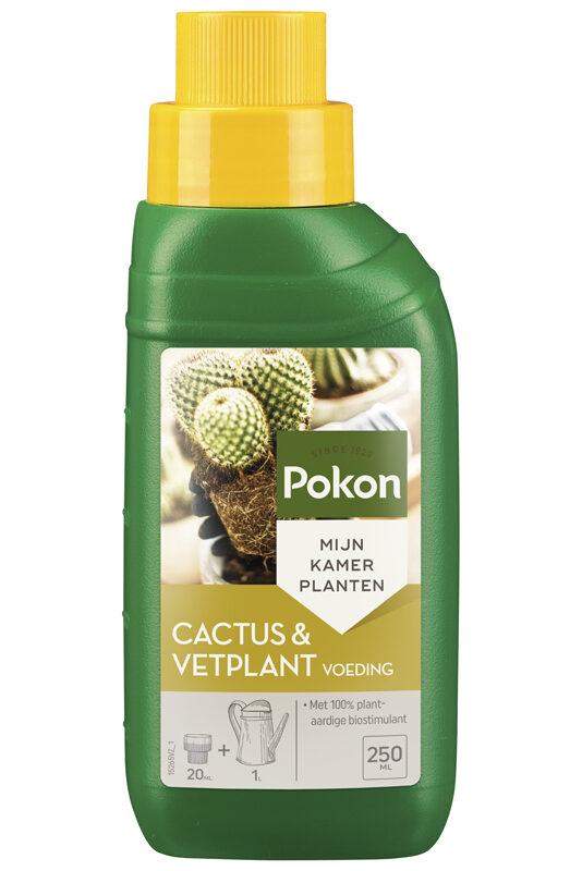 Kakteen-Pflanzenfutter 250 ml – Pflegeleicht & Effektiv