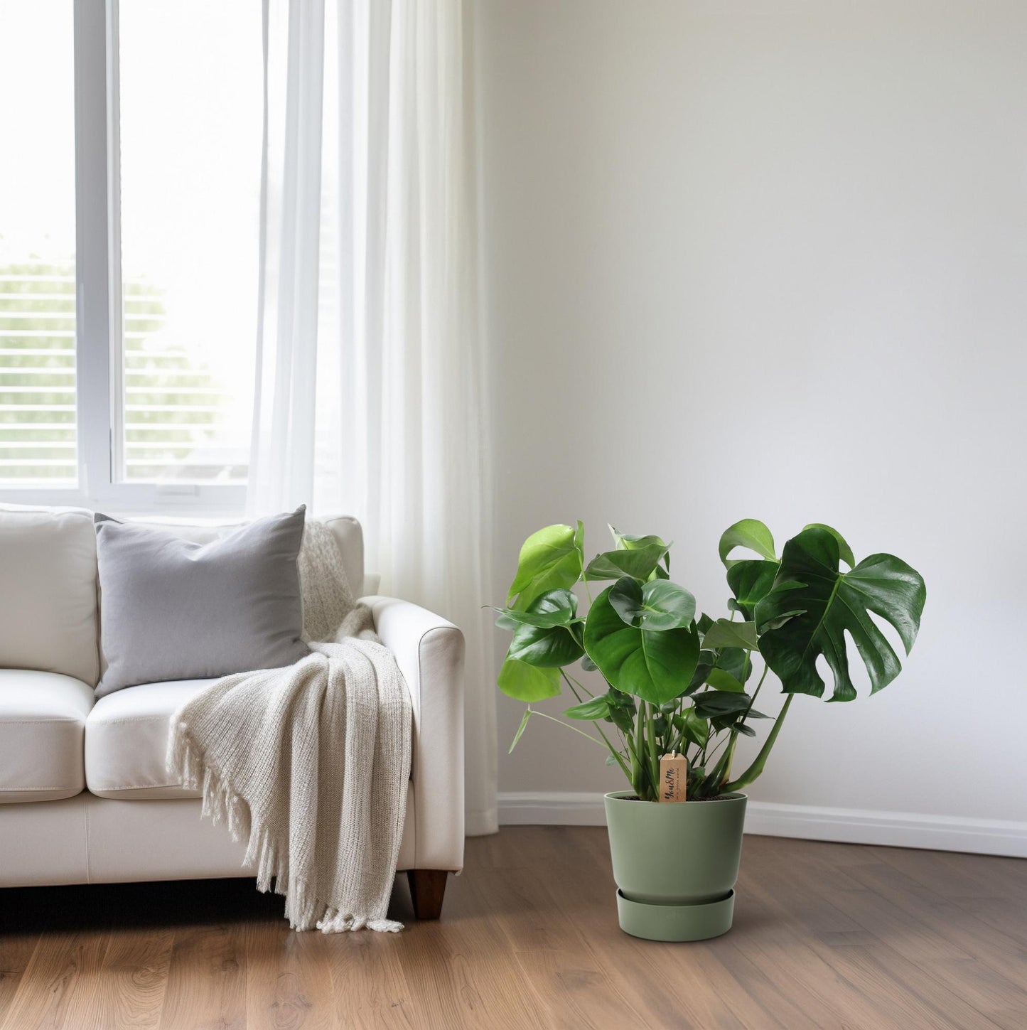 Monstera In Basket Palmleaf – Ø21cm, Höhe 60cm