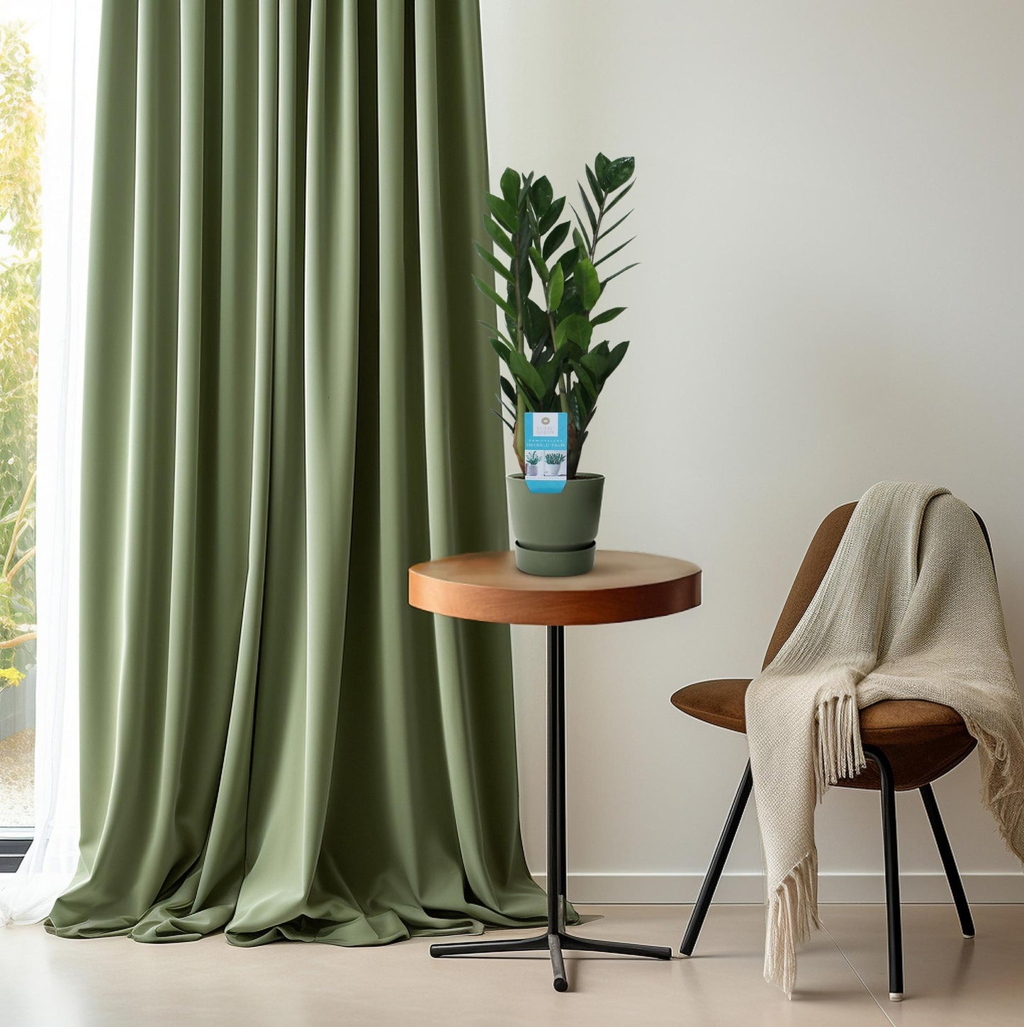 Zamioculcas Zamiifolia Ø14cm – Pflegeleichte ZZ-Pflanze