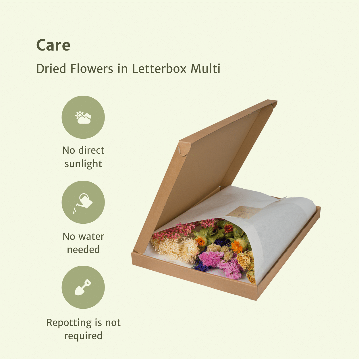 Trockenblumen im Briefkasten – Multi Mix