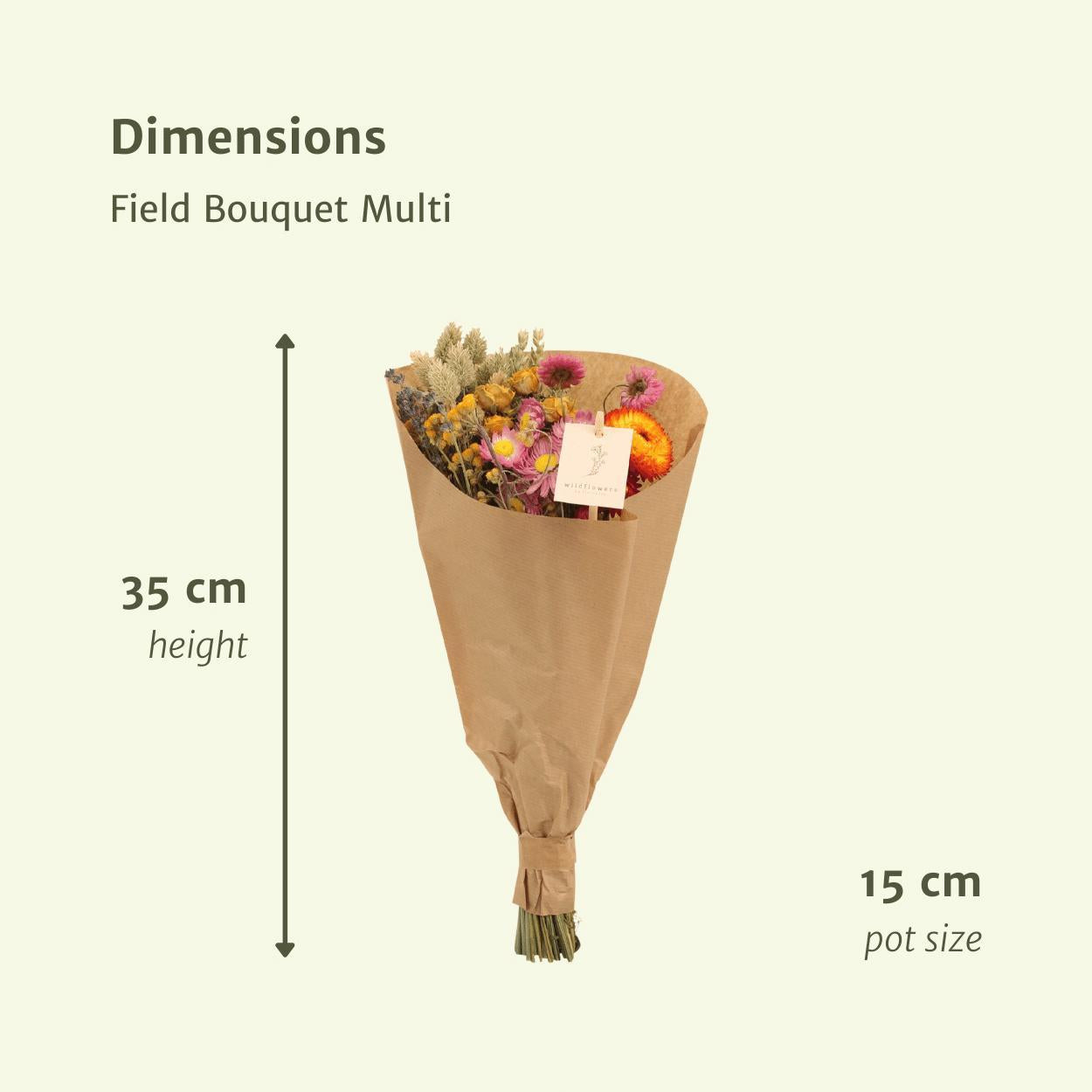 12x Field Bouquet Multi – Bunter Trockenstrauß 35cm