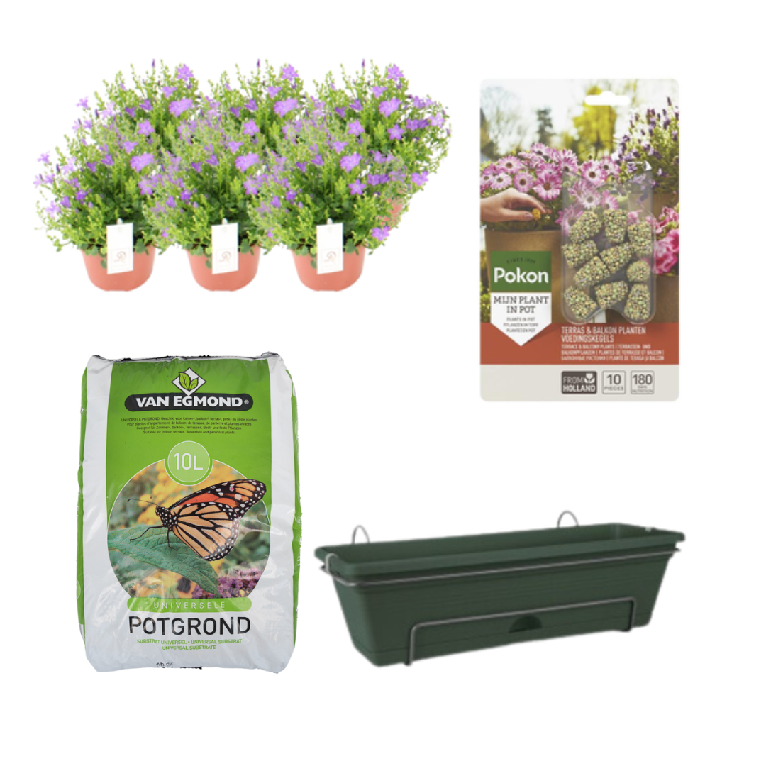 Balkonpflanzgefäß Grün DIY-Set mit Campanula