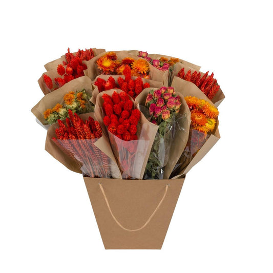Getrocknete Blumen Dried Mono Mix – Orange, 50 cm