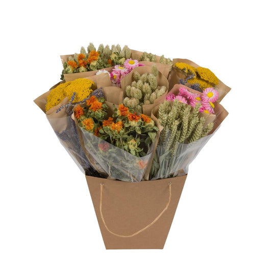 Getrocknete Blumen Dried Mono Mix – 50 cm, Dutch Design