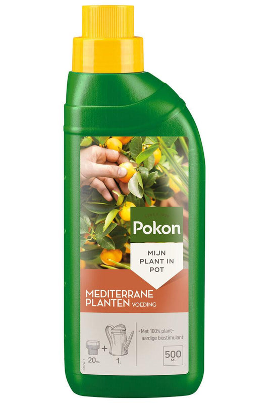 Pokon Mediterraner Pflanzendünger 500 ml