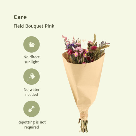 12er Trockenblumenstrauß Pink – 35 cm