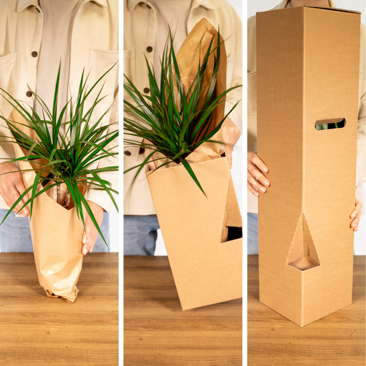 Pflegeleichte Gartenkräuter Mischung im 14 cm Topf