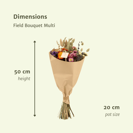 Trockenblumen Feldblumenstrauß Multi – Ø 20 cm, ca. 50 cm hoch