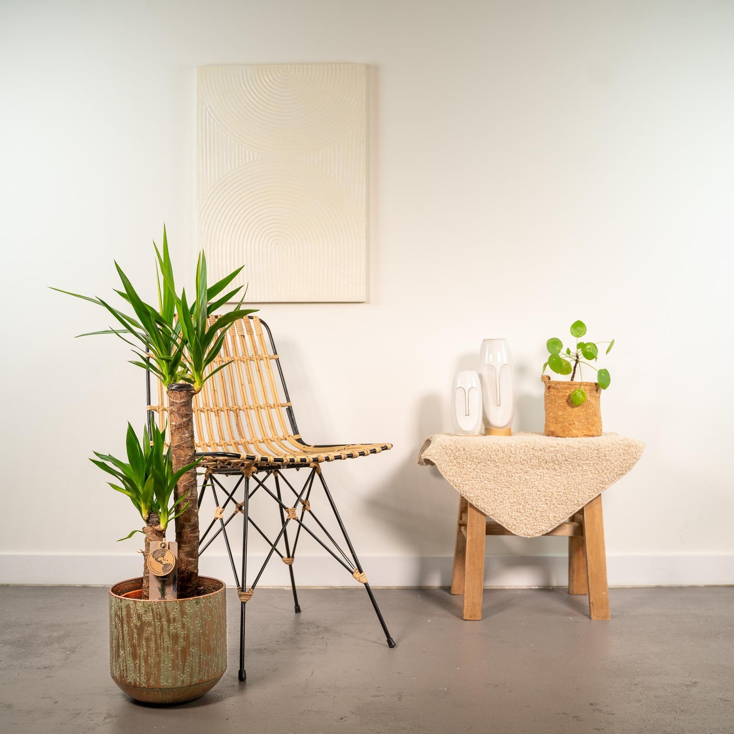 Yucca Palmlilie mit Topf – 100 cm Höhe, Ø 21 cm