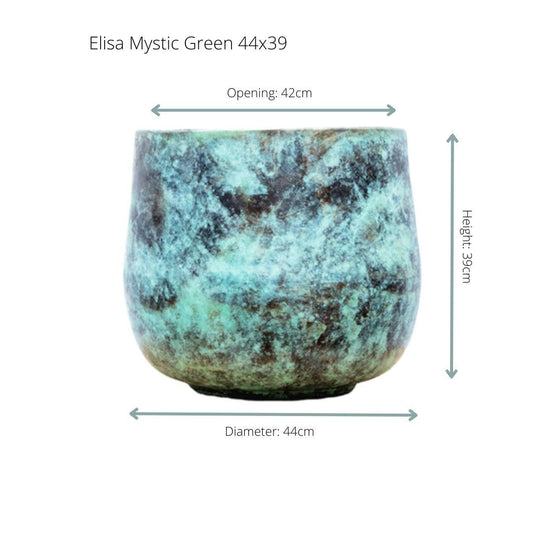 Elisa Mystic Green – Pflegeleichte Zimmerpflanze D44 x H39 cm