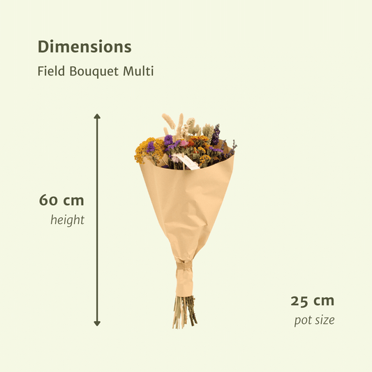 Trockenblumen Feldblumenstrauß Multi Ø25cm, Höhe 60cm