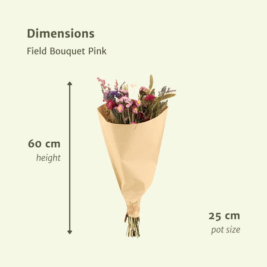12er Trockenblumenstrauß Pink – 35 cm