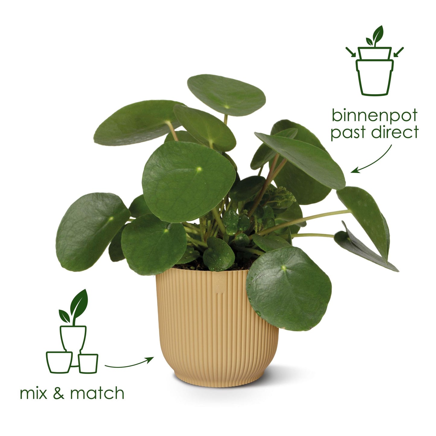 Elho Vibes Fold Round Blumentopf Weiß D18 x H17 cm