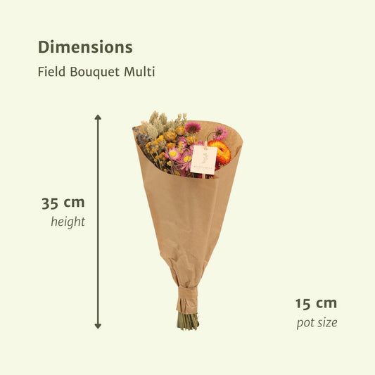12x Field Bouquet Multi – Bunter Trockenstrauß 35cm