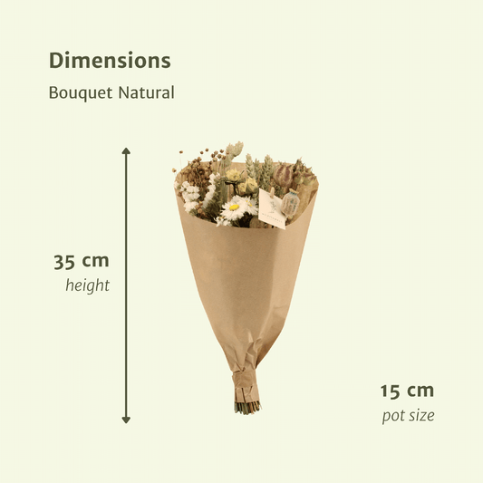 Trockenblumen Feldblumenstrauß Natürlich Ø15cm × 35cm