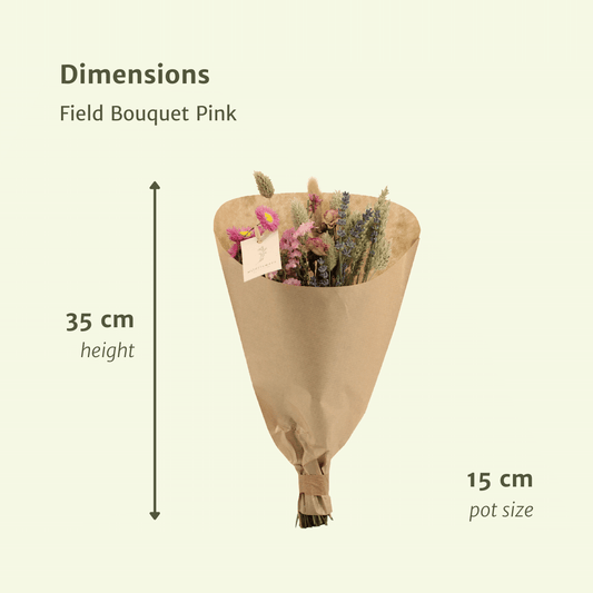 Trockenblumen Feldblumenstrauß Rosa Ø15cm × 35cm