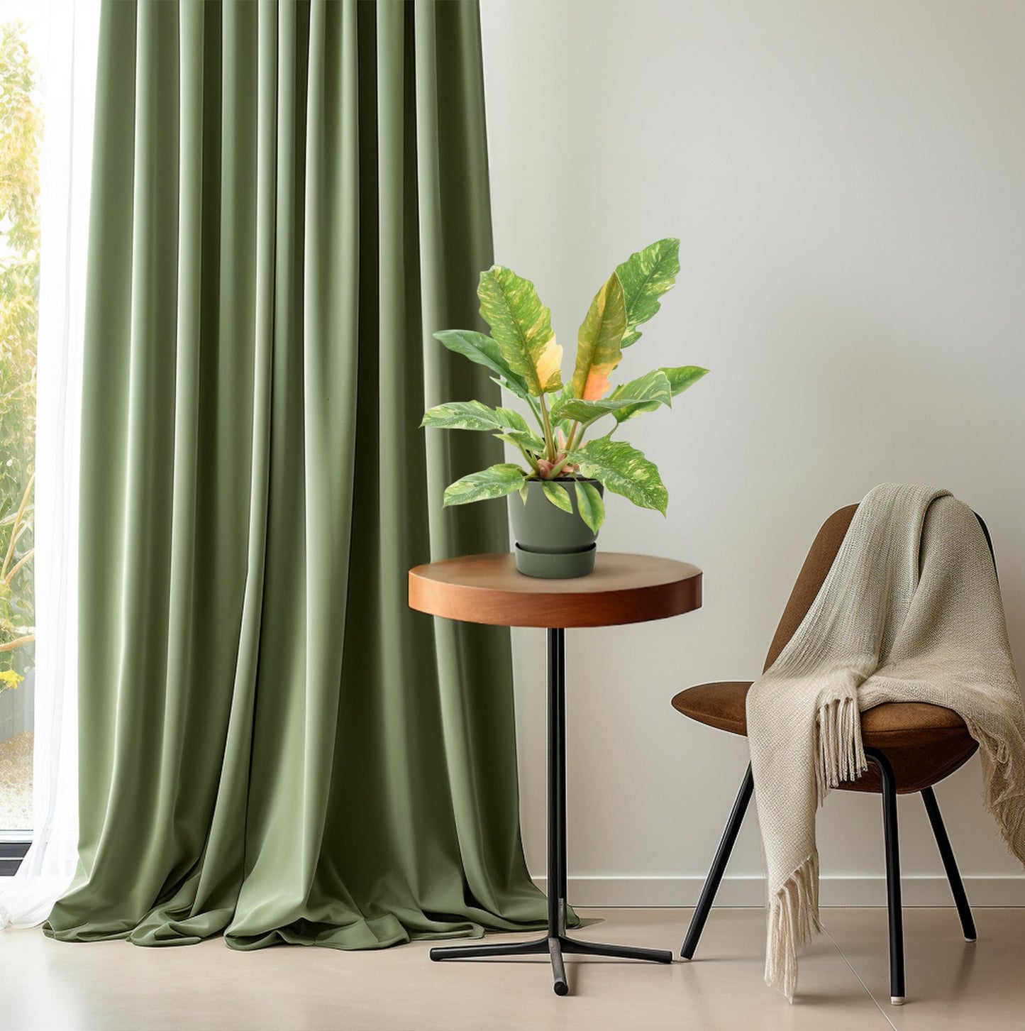 Philodendron Narrow 'Ring Of Fire' – Pflegeleichte Zimmerpflanze Ø14cm