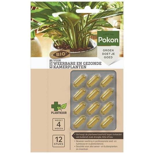 Bio Cure – 12 Kapseln für gesunde Zimmerpflanzen