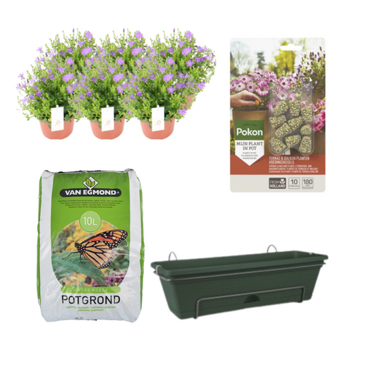 Balkonpflanzgefäß Grün DIY-Set mit Campanula