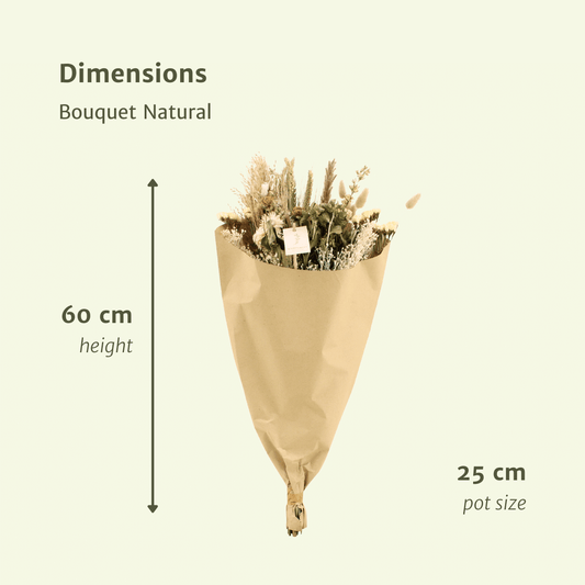 Trockenblumen Feldblumenstrauß Natürlich – Ø25cm, ca. 60cm hoch